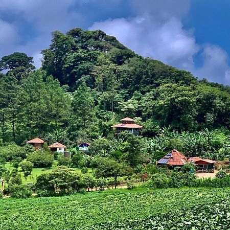 Finca Neblina Del Bosque Estelí Exteriér fotografie