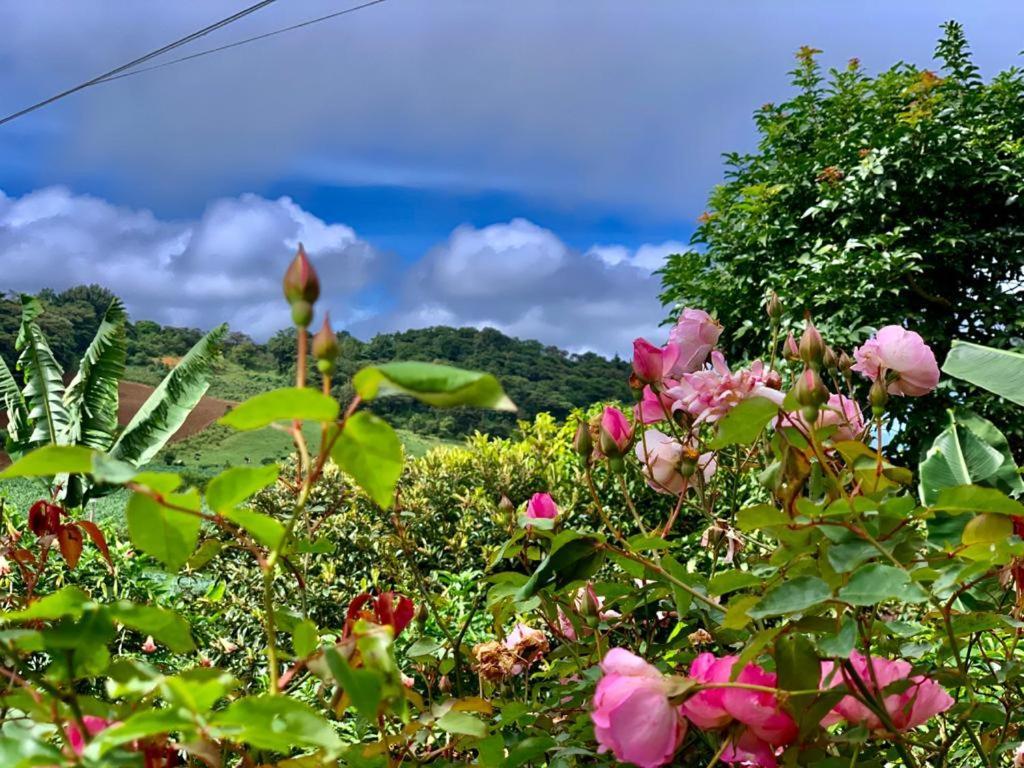 Finca Neblina Del Bosque Estelí Exteriér fotografie