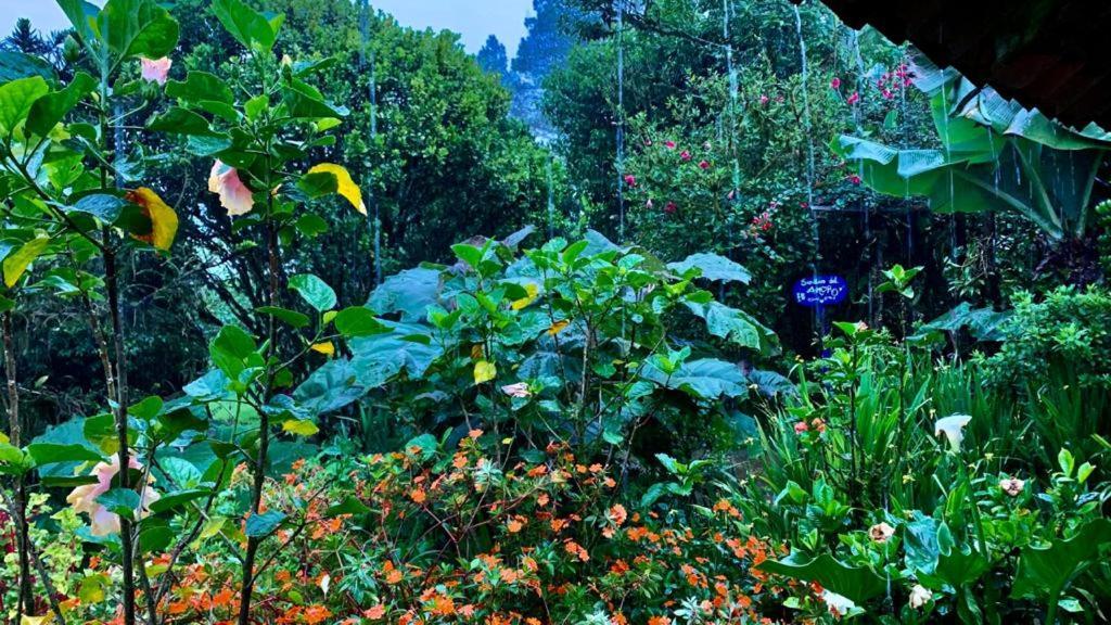 Finca Neblina Del Bosque Estelí Exteriér fotografie