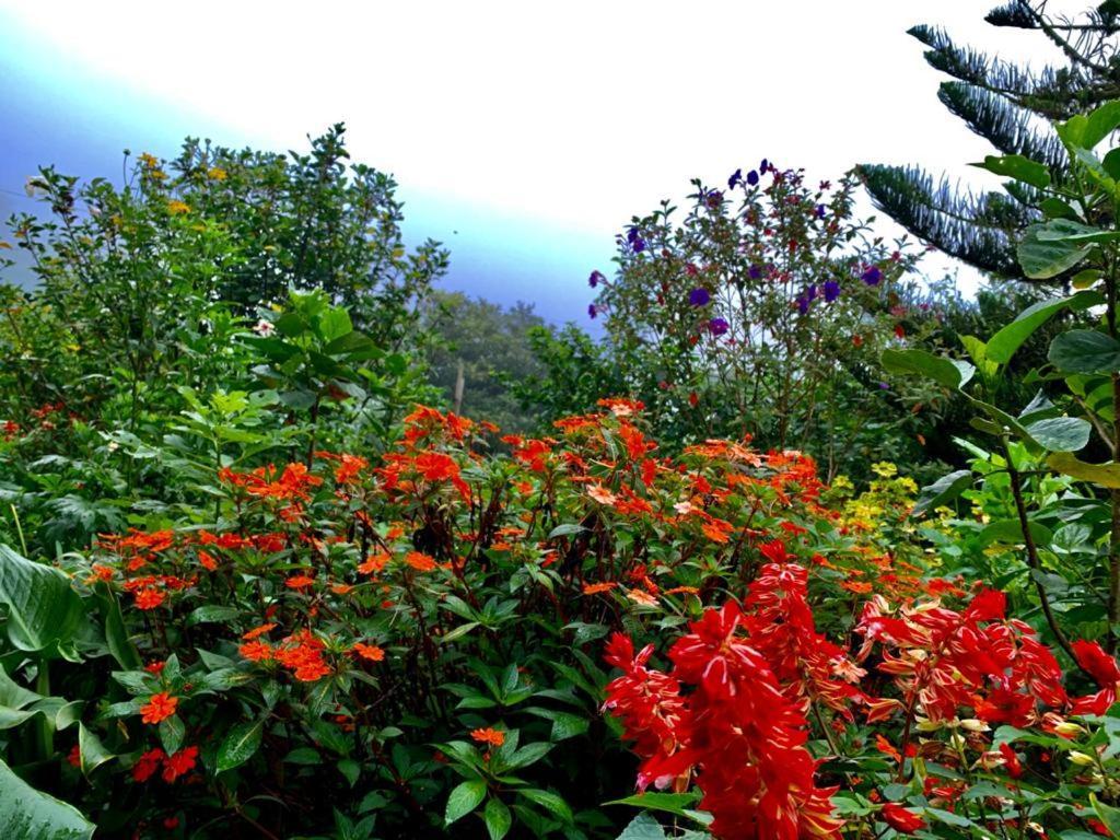 Finca Neblina Del Bosque Estelí Exteriér fotografie