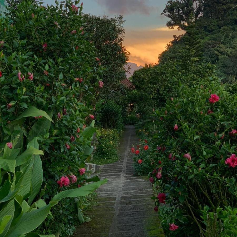 Finca Neblina Del Bosque Estelí Exteriér fotografie