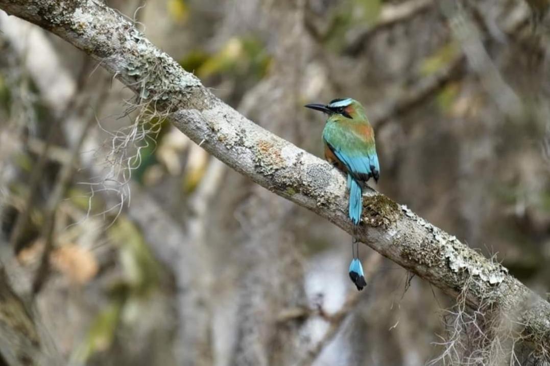 Finca Neblina Del Bosque Estelí Exteriér fotografie